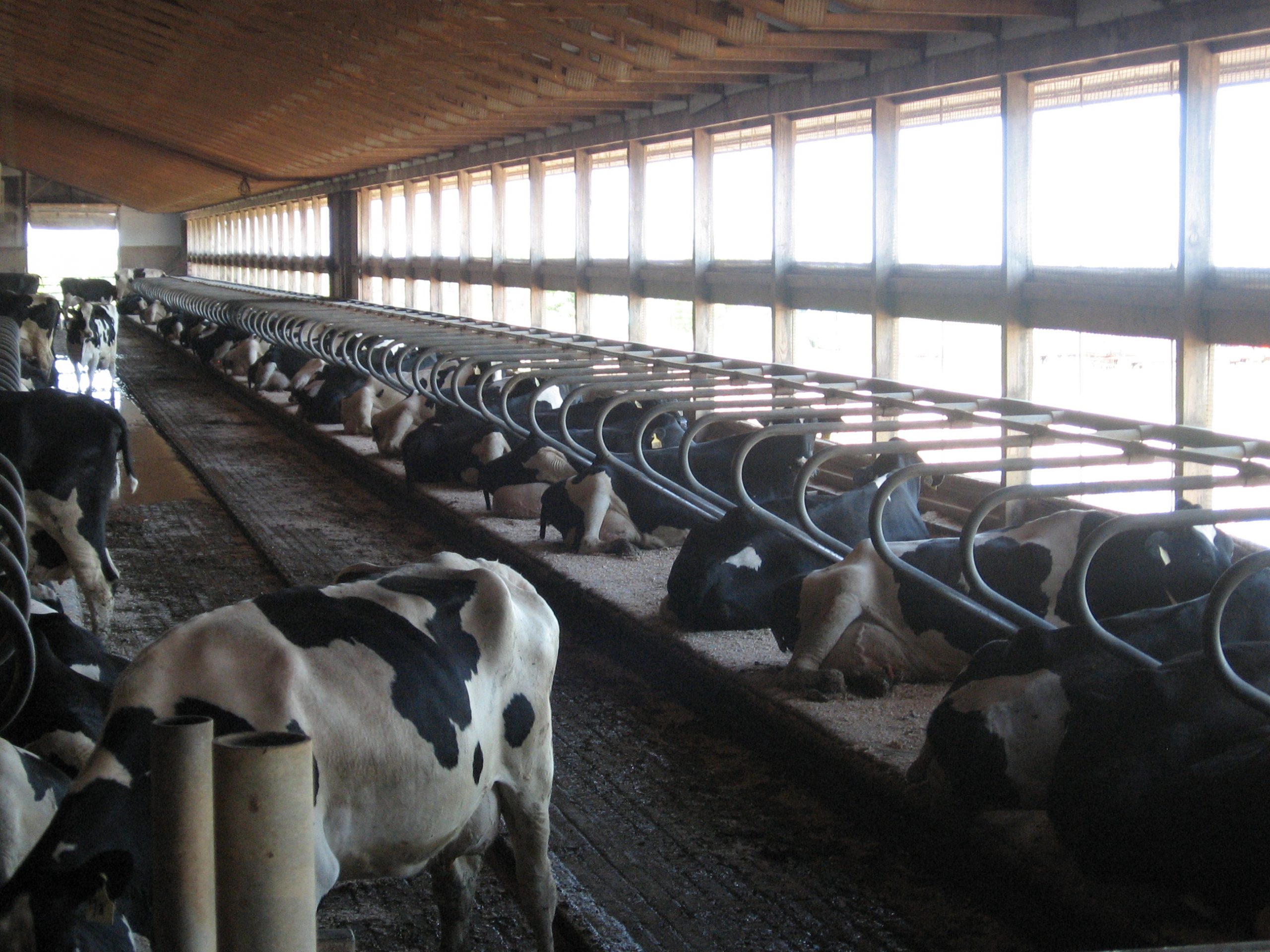 Featured image for “Bioret Agri Mattresses”