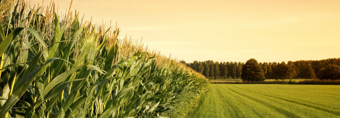 Featured image for “Introducing: Agrihub Inc.”