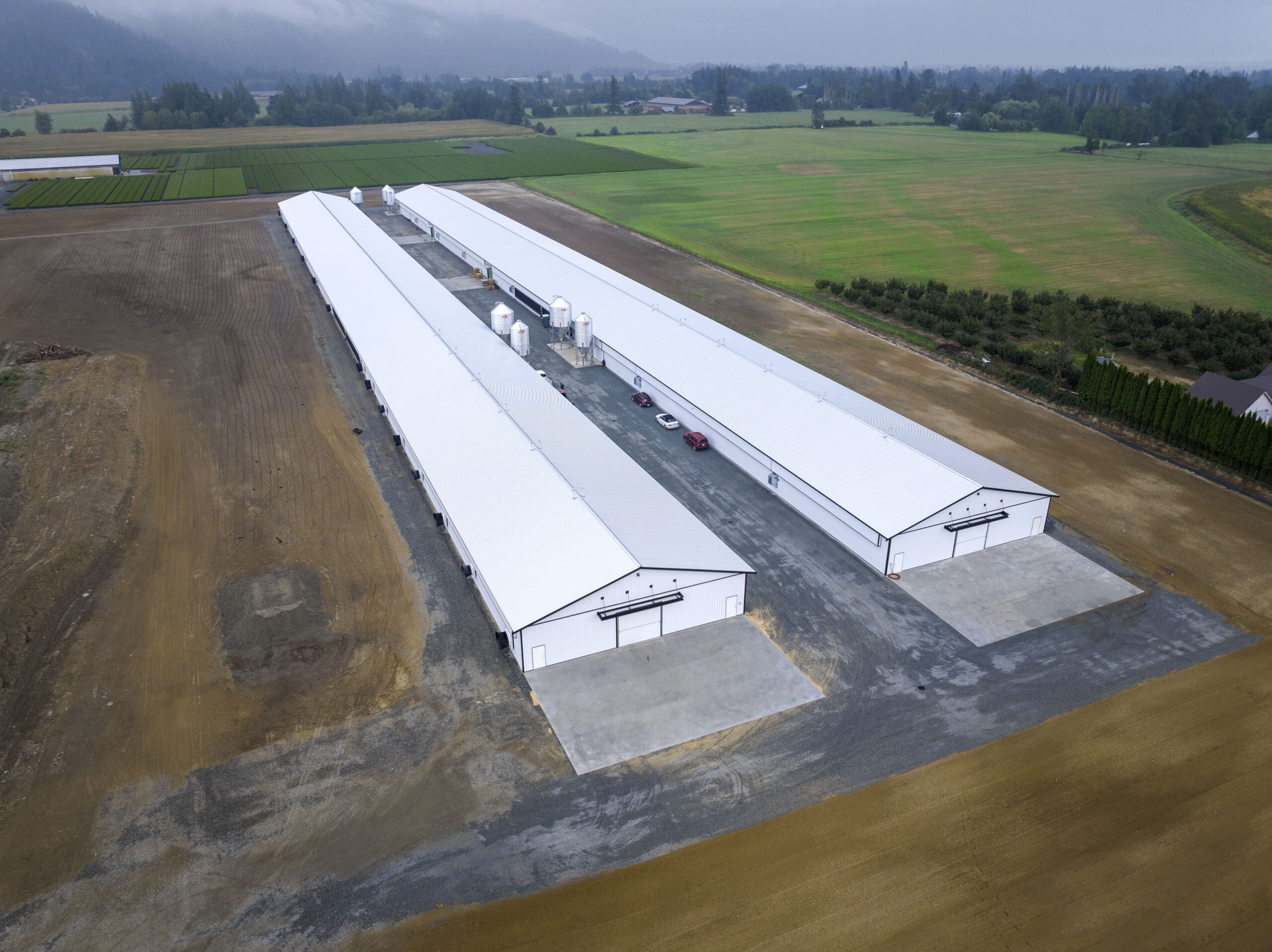Featured image for “Transformative Project Unveiled: United Agri Systems Delivers State-of-the-Art Turkey Barns Outside Chilliwack”